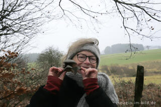 Austernseitling - Pilzglück im Winter