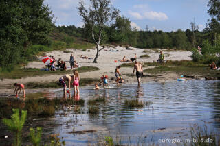 Baden im Quellgebiet des Rode Beek in der Brunssummerheide