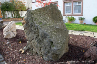 Basalt im Geopark von Schalkenmehren