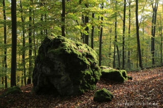 Basaltfindling im Kottenheimer Wald