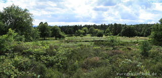 Beim Fliegenberg in der Wahner Heide