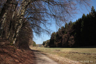 Beim Lampertsbach, auf der 7. Etappe des Eifelsteigs