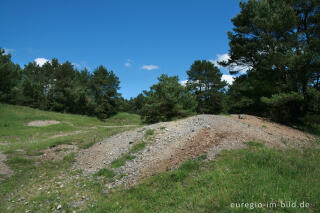 Beim Schlangenberg, Breinigerheide, Nordeifel