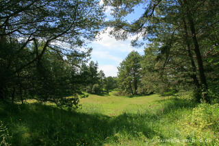 Beim Schlangenberg, Breinigerheide, Nordeifel