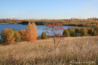 Blausteinsee bei Eschweiler