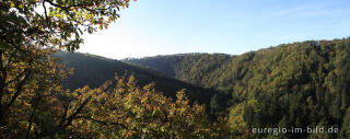 Blick auf das herbstliche Liesertal, südlich von Manderscheid