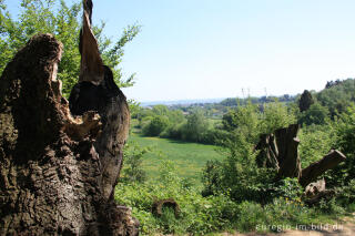 Blick vom "Alten Landgraben" nach Nordosten