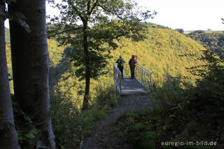 Blick vom Burgberg auf das Liesertal