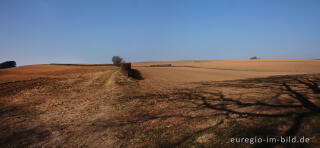 Blick vom Heyder Feldweg auf das Heyder Ländchen