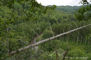 Blick von der Kasselslay im mittleren Ourtal