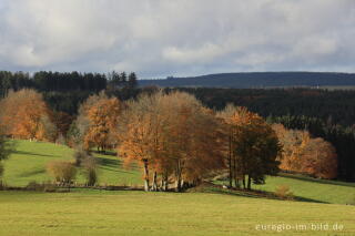 Blick von Monschau-Höfen, Alter Weg, über das Rurtal nach Westen