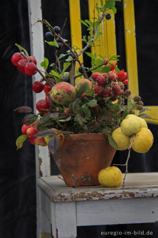 Blumenstauß für Oktober mit Zierapfel, Hagebutten, Schlehen, Brombeeren, Moos und Zierquitte