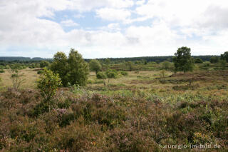 Brackvenn, Hohes Venn