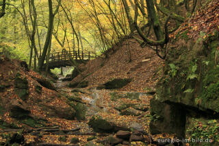 Brücke im Butzerbachtal, Südeifel