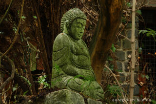 Buddha im Hortus Dialogus