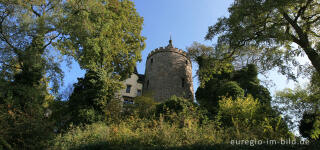 Burg Rode, Herzogenrath