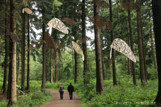 Cloé Coomanns: "wings of torment", Grenzkunstroute011 beim Grenzübergang Aachen-Köpfchen