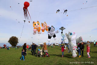 Das Drachenfest bei Aachen