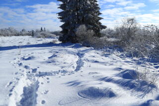 Das nördliche Brackvenn im Winter