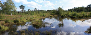 Das Quellgebiet des Rode Beek in der Brunssummerheide