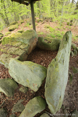 Das Steinkistengrab auf dem Hartberg bei Schankweiler