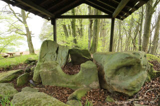 Das Steinkistengrab bei Schankweiler