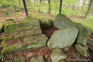 Das Steinkistengrab bei Schankweiler