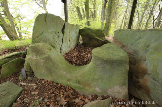 Das Steinkistengrab bei Schankweiler