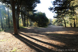 De Ijzeren Man, Grenzpark Kempen-Broek