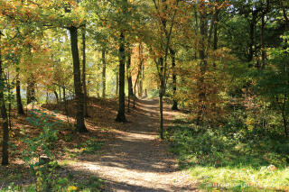 De Ijzeren Man, Grenzpark Kempen-Broek