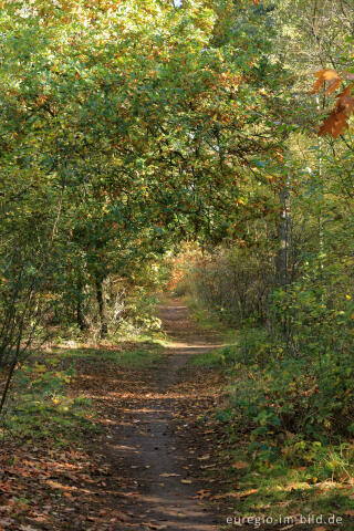 De Ijzeren Man, Grenzpark Kempen-Broek