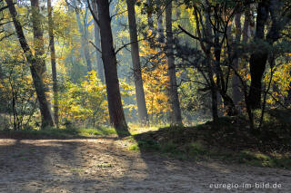 De Ijzeren Man, Grenzpark Kempen-Broek