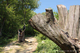 Der "Alte Landgraben"