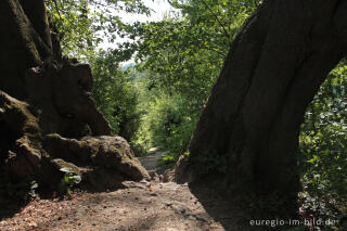 Der "Alte Landgraben"