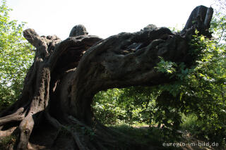 Der "Alte Landgraben"