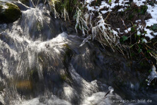 Der Bechheimer Bach bei Aachen-Hahn