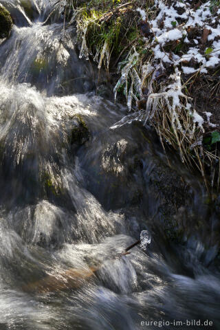 Der Bechheimer Bach bei Aachen-Hahn