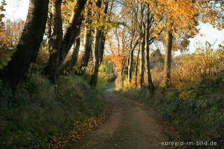 Der Bergweg, ein alter Hohlweg bei Bocholtz