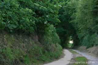 Der Bocholtzer Weg, ein alter Hohlweg bei Horbach