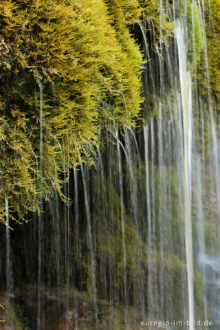 Der Dreimühlen-Wasserfall in der Eifel bei Üxheim Ahütte