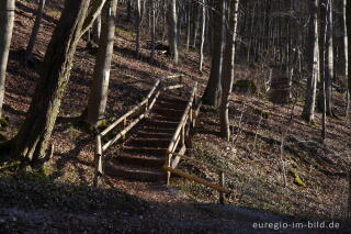 Der Gillesbach bei Kloster Steinfeld