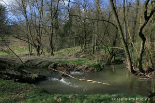 Der Hohnbach bei Kelmis (B)