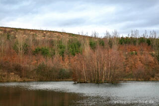 Der Inselsee auf der Sophienhöhe