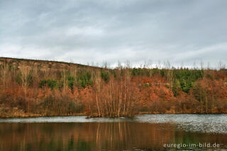 Der Inselsee auf der Sophienhöhe