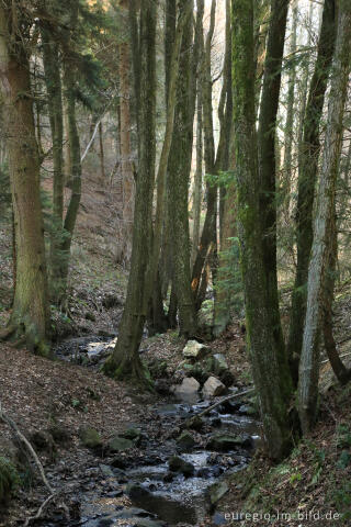 Der Ketzerbach, "Dorfrundgang Lammersdorf"