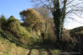 Der Kolmonderbosweg, ein Hohlweg bei Nijswiller