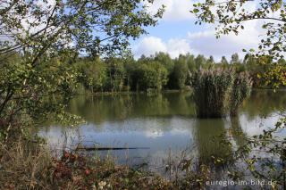 Der Niederzierersee auf der Sophienhöhe