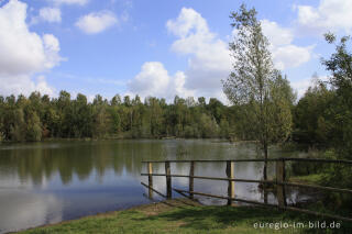 Der Niederzierersee auf der Sophienhöhe