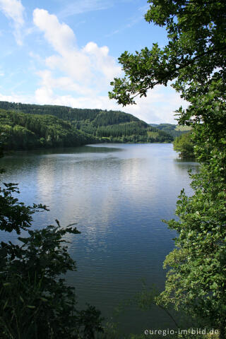 Der Obersee im Nationalpark Eifel