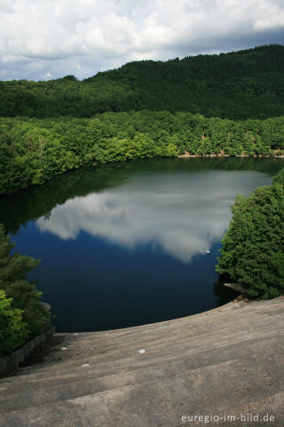 Der Obersee im Nationalpark Eifel